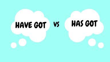 HAVE GOT vs HAS GOT HAVE GOT vs HAS GOT