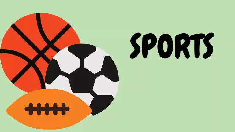 Спорт Хобби Эссе Спорт Хобби Эссе